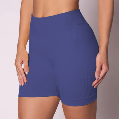 Short Academia Feminino Poliamida Selene Zero Transparência
